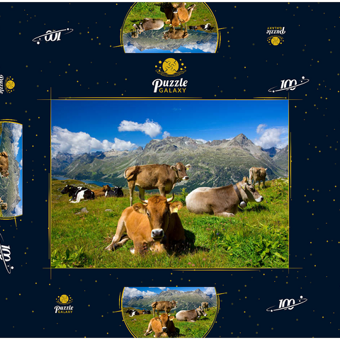 Kühe am Weg vom Corvatsch-Murtel mit Piz Polaschin (3013 m) und Oberengadiner Seen, St. Moritz 100 Puzzle Schachtel 3D Modell
