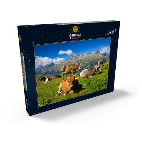 Kühe am Weg vom Corvatsch-Murtel mit Piz Polaschin (3013 m) und Oberengadiner Seen, St. Moritz 200 Puzzle Schachtel Ansicht2