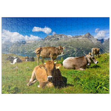 puzzleplate Kühe am Weg vom Corvatsch-Murtel mit Piz Polaschin (3013 m) und Oberengadiner Seen, St. Moritz 200 Puzzle
