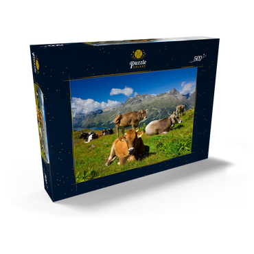 Kühe am Weg vom Corvatsch-Murtel mit Piz Polaschin (3013 m) und Oberengadiner Seen, St. Moritz 500 Puzzle Schachtel Ansicht2
