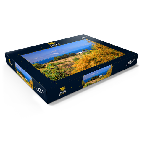 Blühende Mimosen und Ferienhaus mit Blick zum Ätna (3323m) 100 Puzzle Schachtel Ansicht1