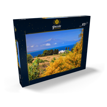 Blühende Mimosen und Ferienhaus mit Blick zum Ätna (3323m) 100 Puzzle Schachtel Ansicht2