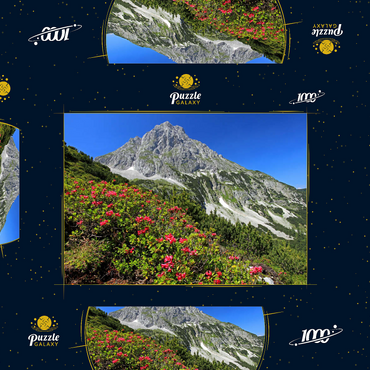 Blühende Alpenrosen bei der Coburger Hütte, Tirol, Österreich 1000 Puzzle Schachtel 3D Modell