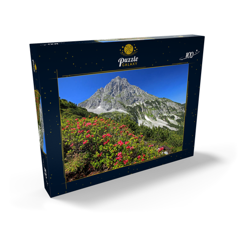 Blühende Alpenrosen bei der Coburger Hütte, Tirol, Österreich 100 Puzzle Schachtel Ansicht2