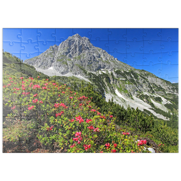 puzzleplate Blühende Alpenrosen bei der Coburger Hütte, Tirol, Österreich 100 Puzzle