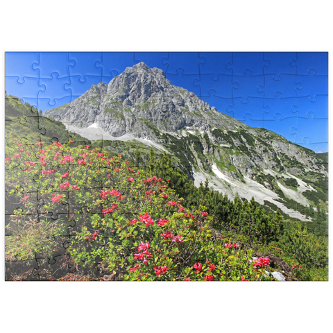 puzzleplate Blühende Alpenrosen bei der Coburger Hütte, Tirol, Österreich 100 Puzzle