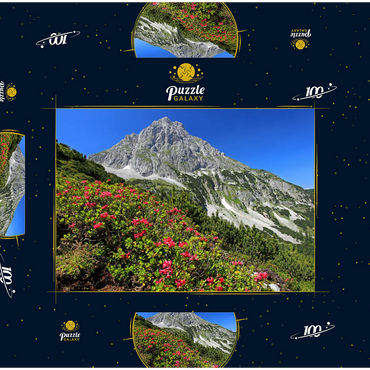Blühende Alpenrosen bei der Coburger Hütte, Tirol, Österreich 100 Puzzle Schachtel 3D Modell