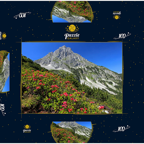 Blühende Alpenrosen bei der Coburger Hütte, Tirol, Österreich 100 Puzzle Schachtel 3D Modell