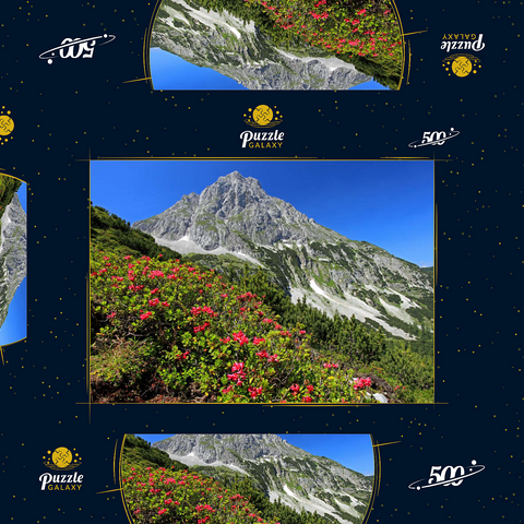 Blühende Alpenrosen bei der Coburger Hütte, Tirol, Österreich 500 Puzzle Schachtel 3D Modell