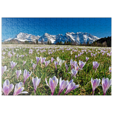 puzzleplate Krokuswiese bei Gerold mit Karwendelgebirge, Oberbayern 200 Puzzle