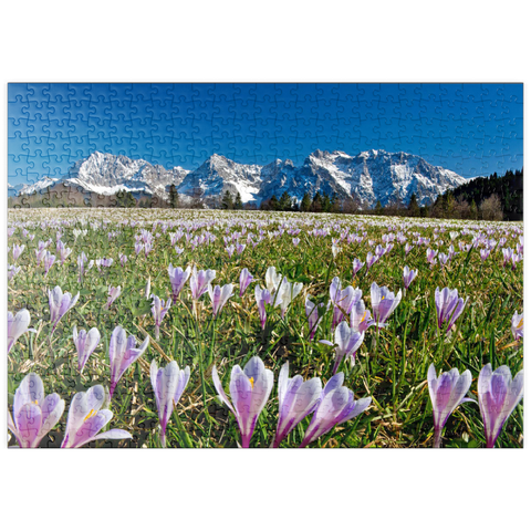 puzzleplate Krokuswiese bei Gerold mit Karwendelgebirge, Oberbayern 500 Puzzle