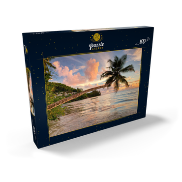 Palme am Strand von Baie Lazare, Westküste, Insel Mahe, Seychellen 100 Puzzle Schachtel Ansicht2