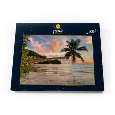 Palme am Strand von Baie Lazare, Westküste, Insel Mahe, Seychellen 100 Puzzle Schachtel Ansicht3