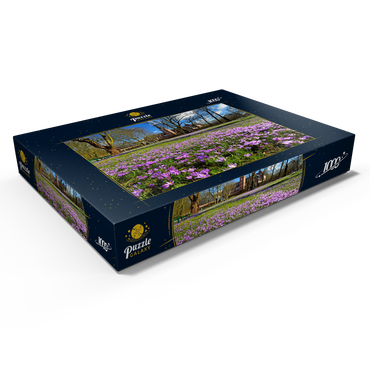 Krokusblüte im Schlosspark mit dem Schloss vor Husum 1000 Puzzle Schachtel Ansicht1