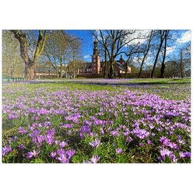 Darstellung des Puzzle-Motivs Krokusblüte im Schlosspark mit dem Schloss vor Husum – Puzzleteile: 1000