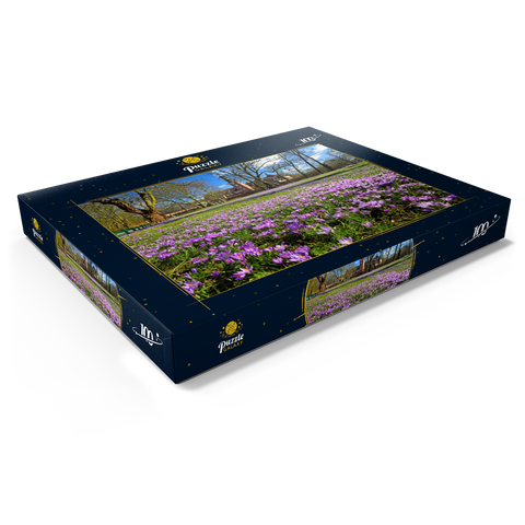 Krokusblüte im Schlosspark mit dem Schloss vor Husum 100 Puzzle Schachtel Ansicht1