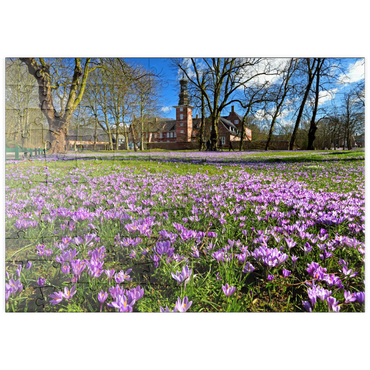 puzzleplate Krokusblüte im Schlosspark mit dem Schloss vor Husum 100 Puzzle