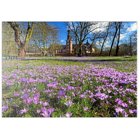 puzzleplate Krokusblüte im Schlosspark mit dem Schloss vor Husum 100 Puzzle