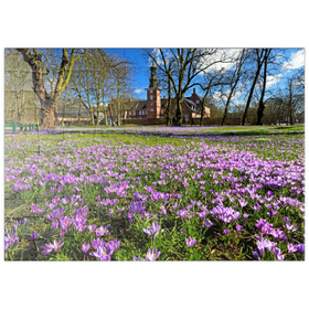 Darstellung des Puzzle Motivs Krokusblüte im Schlosspark mit dem Schloss vor Husum - Puzzleteile: 100