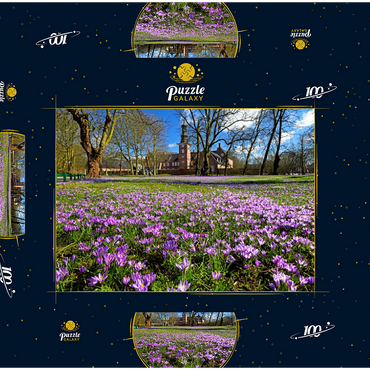 Krokusblüte im Schlosspark mit dem Schloss vor Husum 100 Puzzle Schachtel 3D Modell