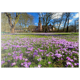 Darstellung des Puzzle Motivs Krokusblüte im Schlosspark mit dem Schloss vor Husum - Puzzleteile: 200