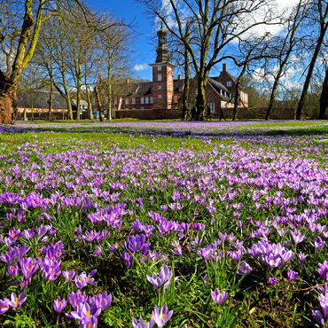 Krokusblüte im Schlosspark mit dem Schloss vor Husum 200 Puzzle 3D Modell
