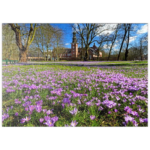 puzzleplate Krokusblüte im Schlosspark mit dem Schloss vor Husum 500 Puzzle
