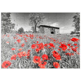 Darstellung des Puzzle Motivs Mohnfeld vor einem Landhaus an den Hängen über Orvieto, Umbrien - Puzzleteile: 100