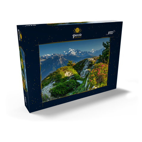 Gipfelpanorama mit Dom (4545m), Matterhorn (4478m) und Weisshorn (4505m) 1000 Puzzle Schachtel Ansicht2