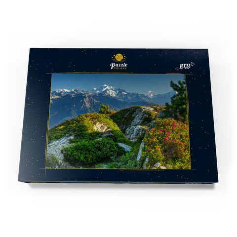 Gipfelpanorama mit Dom (4545m), Matterhorn (4478m) und Weisshorn (4505m) 1000 Puzzle Schachtel Ansicht3