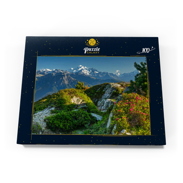 Gipfelpanorama mit Dom (4545m), Matterhorn (4478m) und Weisshorn (4505m) 100 Puzzle Schachtel Ansicht3