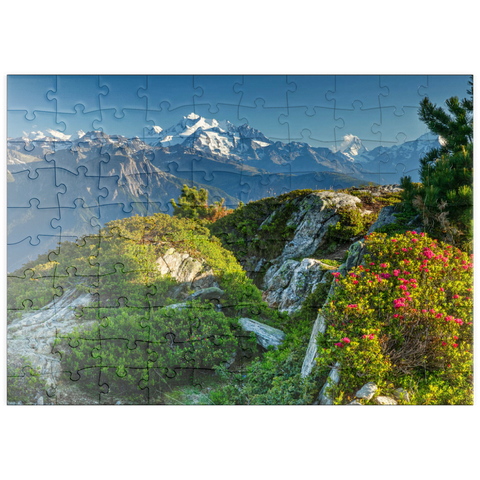 puzzleplate Gipfelpanorama mit Dom (4545m), Matterhorn (4478m) und Weisshorn (4505m) 100 Puzzle