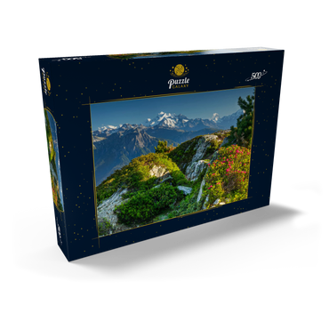 Gipfelpanorama mit Dom (4545m), Matterhorn (4478m) und Weisshorn (4505m) 500 Puzzle Schachtel Ansicht2