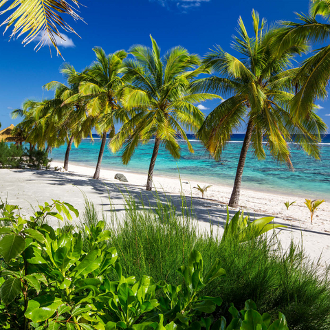 Palmenstrand am Crown Beach Resort bei Arorangi, Insel Rarotonga, Cook Islands, Südsee 1000 Puzzle 3D Modell