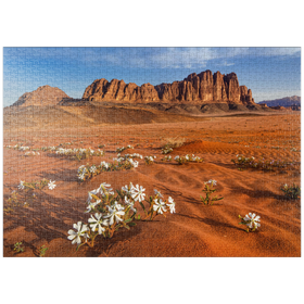 Darstellung des Puzzle-Motivs Die Wüste blüht, Blumen im Sand, Wadi Rum, Jordanien – Puzzleteile: 1000