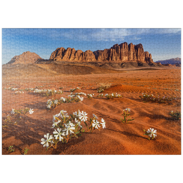 puzzleplate Die Wüste blüht, Blumen im Sand, Wadi Rum, Jordanien 1000 Puzzle