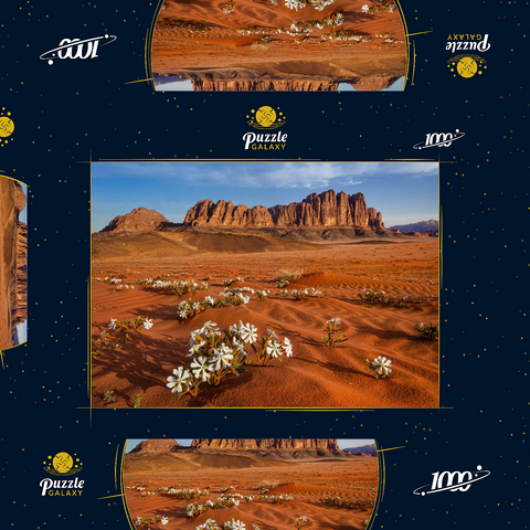 Die Wüste blüht, Blumen im Sand, Wadi Rum, Jordanien 1000 Puzzle Schachtel 3D Modell