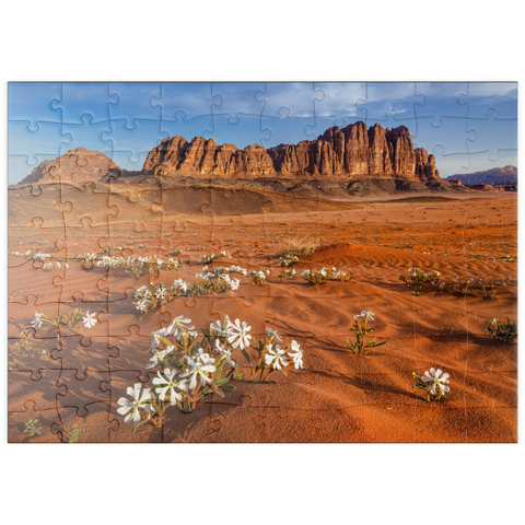 puzzleplate Die Wüste blüht, Blumen im Sand, Wadi Rum, Jordanien 100 Puzzle