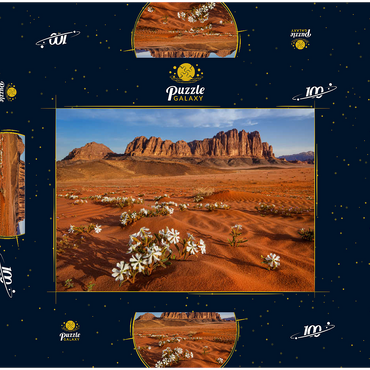 Die Wüste blüht, Blumen im Sand, Wadi Rum, Jordanien 100 Puzzle Schachtel 3D Modell