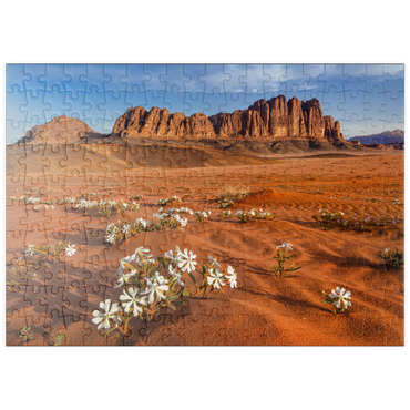 puzzleplate Die Wüste blüht, Blumen im Sand, Wadi Rum, Jordanien 200 Puzzle