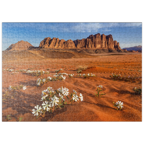 puzzleplate Die Wüste blüht, Blumen im Sand, Wadi Rum, Jordanien 500 Puzzle