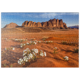 Darstellung des Puzzle Motivs Die Wüste blüht, Blumen im Sand, Wadi Rum, Jordanien - Puzzleteile: 500