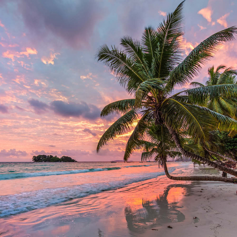 Palmenstrand der Anse Volbert im Morgenlicht, Insel Praslin, Seychellen 100 Puzzle 3D Modell