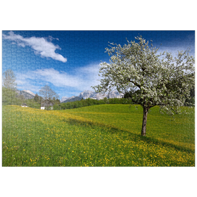 Darstellung des Puzzle-Motivs Frühlingswiese in Gerold gegen Wörner und Tiefkarspitze bei Mittenwald, Oberbayern – Puzzleteile: 1000