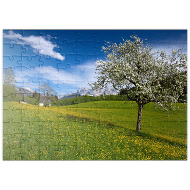 puzzleplate Frühlingswiese in Gerold gegen Wörner (2476m) und Tiefkarspitze (2430m) bei Mittenwald, Oberbayern 100 Puzzle