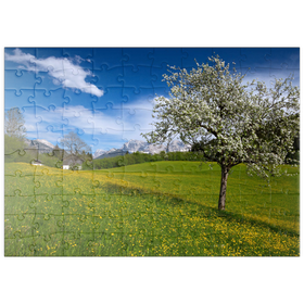Darstellung des Puzzle Motivs Frühlingswiese in Gerold gegen Wörner und Tiefkarspitze bei Mittenwald, Oberbayern - Puzzleteile: 100