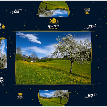 Frühlingswiese in Gerold gegen Wörner (2476m) und Tiefkarspitze (2430m) bei Mittenwald, Oberbayern 100 Puzzle Schachtel 3D Modell