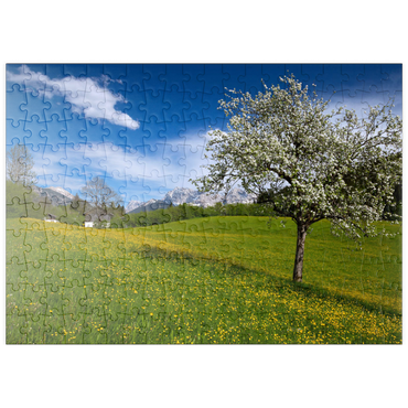 puzzleplate Frühlingswiese in Gerold gegen Wörner (2476m) und Tiefkarspitze (2430m) bei Mittenwald, Oberbayern 200 Puzzle