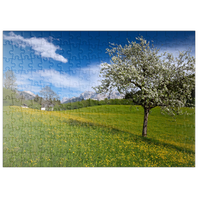 Darstellung des Puzzle Motivs Frühlingswiese in Gerold gegen Wörner und Tiefkarspitze bei Mittenwald, Oberbayern - Puzzleteile: 200
