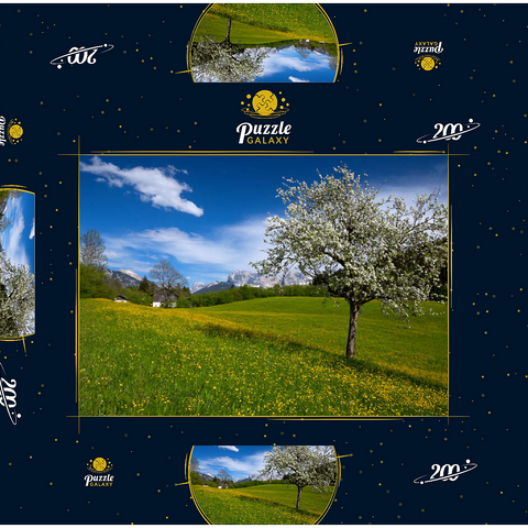 Frühlingswiese in Gerold gegen Wörner (2476m) und Tiefkarspitze (2430m) bei Mittenwald, Oberbayern 200 Puzzle Schachtel 3D Modell